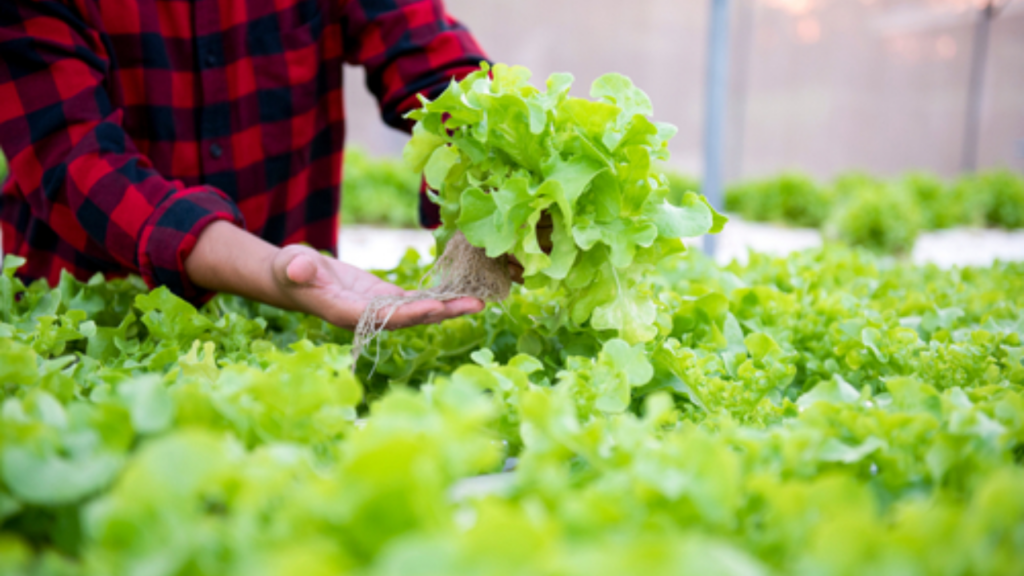 Tips sukses melamar lowongan kerja pertanian