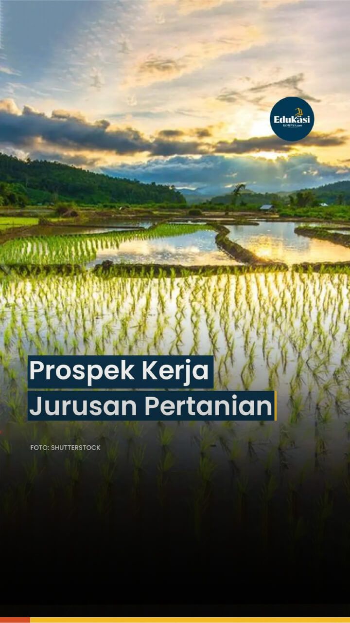 Strategi Meningkatkan Peluang Kerja Sarjana Pertanian