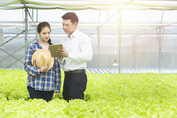 Tips Sukses dalam Menjalani Pekerjaan Pertanian